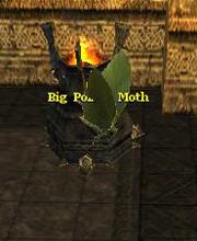 Big Poison Moth